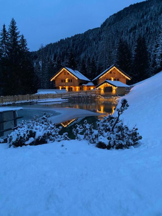 Bergseegut Chalet Und Apartment ヴァークライン エクステリア 写真