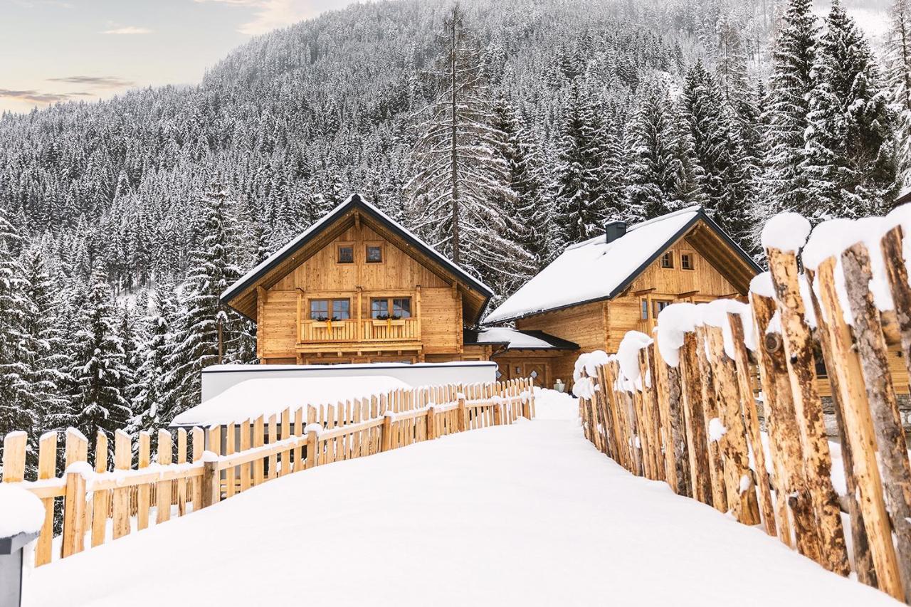 Bergseegut Chalet Und Apartment ヴァークライン エクステリア 写真