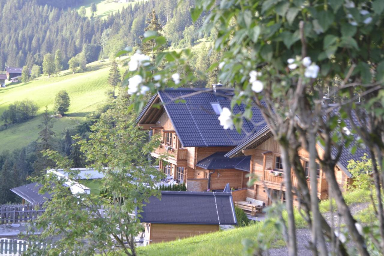 Bergseegut Chalet Und Apartment ヴァークライン エクステリア 写真